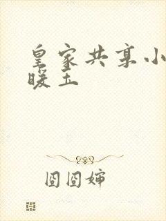 皇家共享小公主暖玉封面