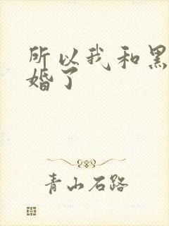 所以我和黑粉结婚了