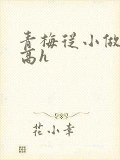 青梅从小做到大高h封面
