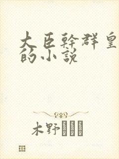 大臣干群皇太后的小说封面