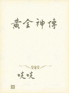 黄金神传封面