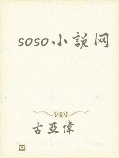 soso小说网