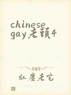 chinesegay老头4