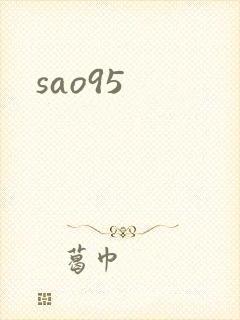 sao95封面