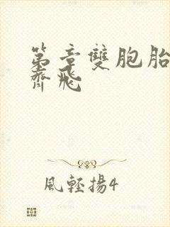 第章双胞胎姐妹齐飞