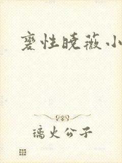 变性晓薇小说封面