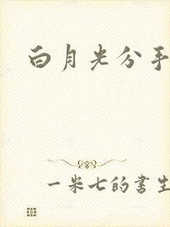 白月光分手日常