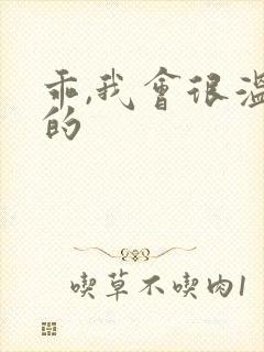 乖,我会很温柔的封面