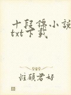 十段锦小说全本txt下载