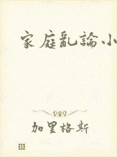 家庭乱论小说