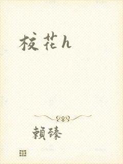 校花h