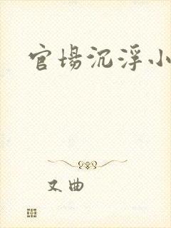 官场沉浮小说