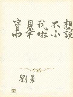 宝贝我不想带小雨伞啦小说封面