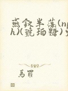 燕钗半落(nph)(琥珀糖)更新