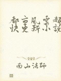 都市风云超前超快更新小说封面