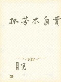 孤芳不自赏小说