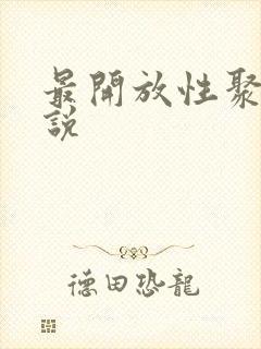 最开放性聚会小说封面