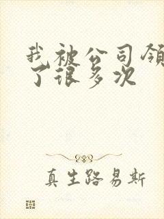 我被公司领导C了很多次