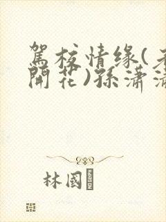 驾校情缘(老树开花)孙潇潇笔趣阁