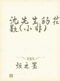 沈先生的花式调数(小非)