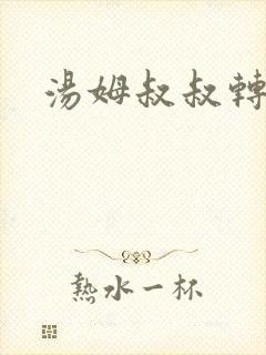 汤姆叔叔转接口