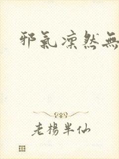 邪气凛然无弹窗封面