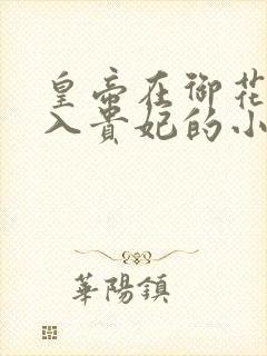 皇帝在御花园进入贵妃的小说