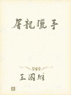 屠龙猎手封面