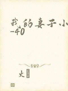 我的妻子小谨1-40
