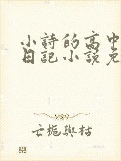 小诗的高中成长日记小说免费阅读