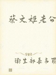 蔡文姬老公