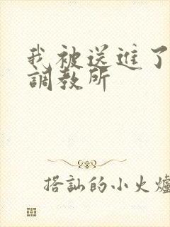 我被送进了私奴调教所