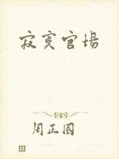 寂寞官场