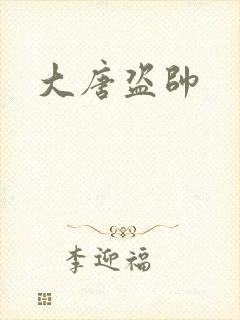 大唐盗帅封面