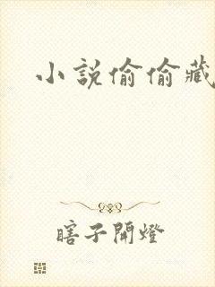 小说偷偷藏不住