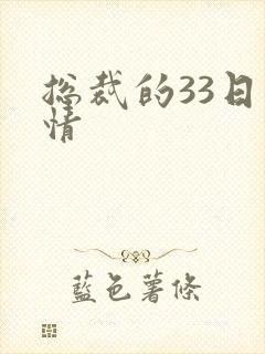 总裁的33日索情