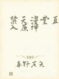 禁天漫堂直接进入原神