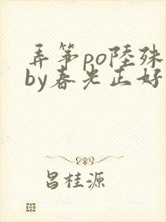 弄筝po陆殊词by春光正好封面