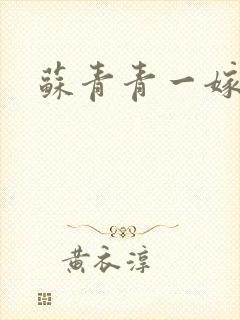 苏青青一嫁三夫封面