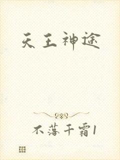 天王神途封面