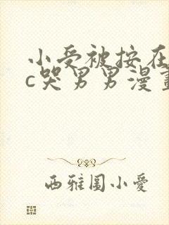 小受被按在墙上c哭男男漫画