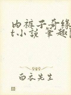 内裤子奇缘txt小说 笔趣阁封面