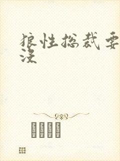 狼性总裁要够了没