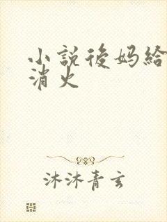 小说后妈给我消消火封面