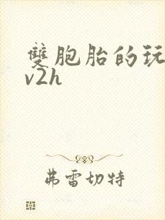双胞胎的玩具1v2h