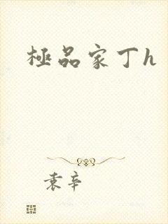 极品家丁h
