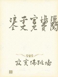 浪子官场猎艳记全文免费阅读