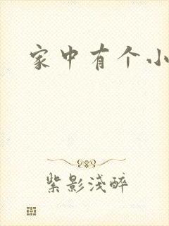 家中有个小姨子