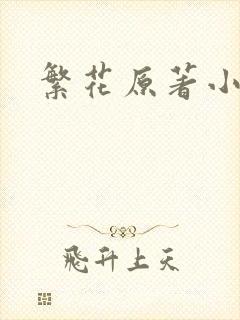 繁花原著小说