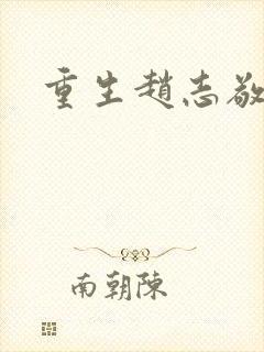 重生赵志敬封面